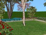 Click image for larger version Name: Yard1.jpg Size: 109.1 KB