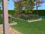 Click image for larger version Name: Yard2.jpg Size: 104.4 KB