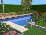 Click image for larger version Name: Yard3.jpg Size: 104.4 KB