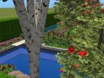 Click image for larger version Name: Yard4.jpg Size: 95.1 KB