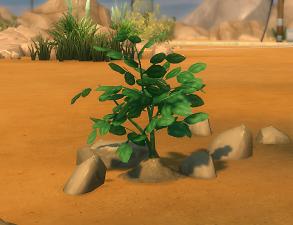 Mod The Sims - Garden Variety