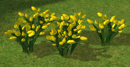 http://thumbs2.modthesims2.com/img/1/9/8/7/4/4/MTS2_petschauerg_767975_PG_Tulpen_2205re1.jpg