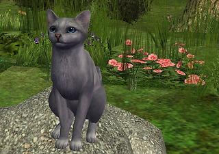sims 4 warrior cats cc sims 4 warrior cats cc