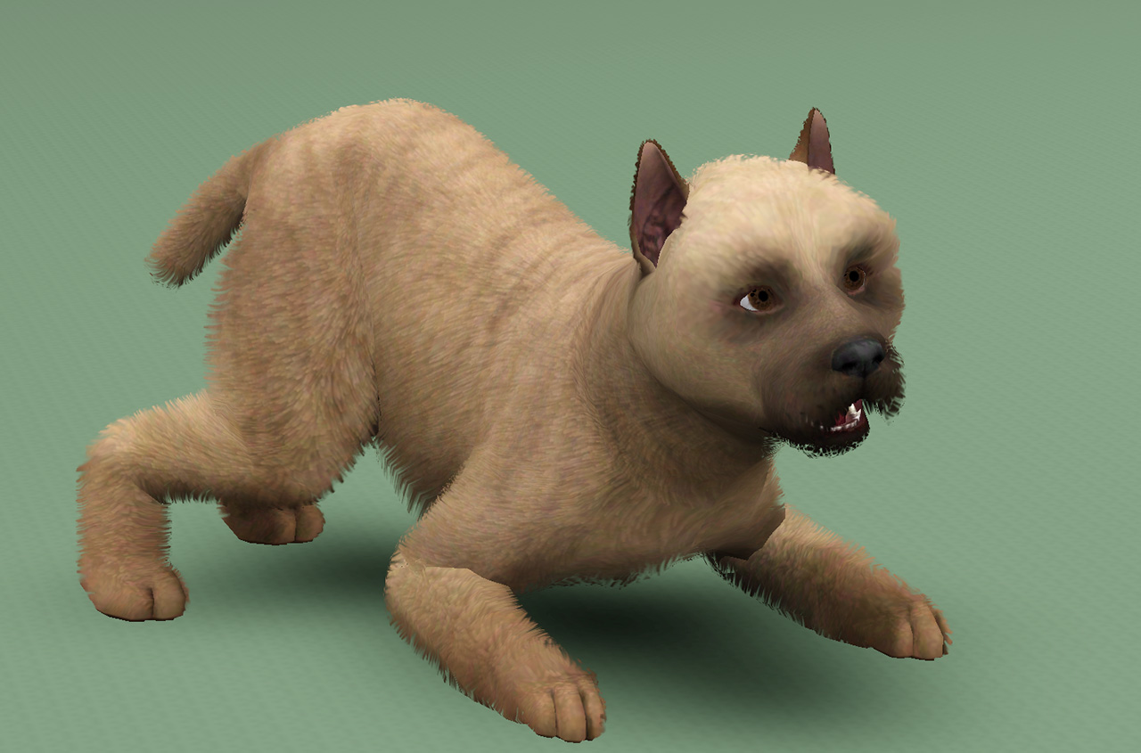 Mod The Sims - Cairn Terriers