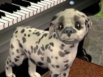 http://thumbs2.modthesims2.com/img/2/4/1/6/4/7/MTS2_thumb_Munchies_827612_d3.jpg