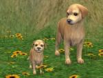 http://thumbs2.modthesims2.com/img/2/4/1/6/4/7/MTS2_thumb_Munchies_827681_mg4.jpg