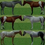http://thumbs2.modthesims2.com/img/2/5/1/3/3/2/MTS2_thumb_oceanpupz_802537_Horse1.jpg