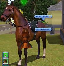 sims 3 kinky world animal animations sims 3 kinky world animal animations