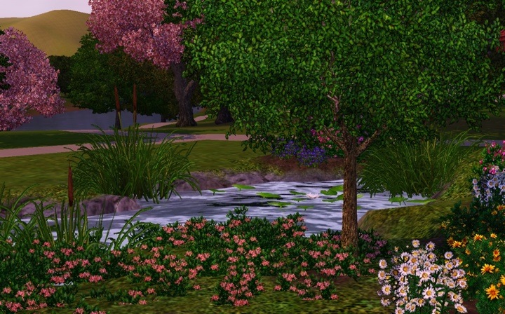 http://thumbs2.modthesims2.com/img/3/2/7/6/1/4/3/MTS2_supertoast_987982_catalinagarden.jpg