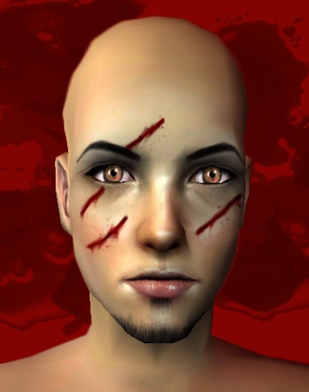 http://thumbs2.modthesims2.com/img/3/6/9/5/6/7/MTS2_pickpock_332960_BloodScratches0.jpg