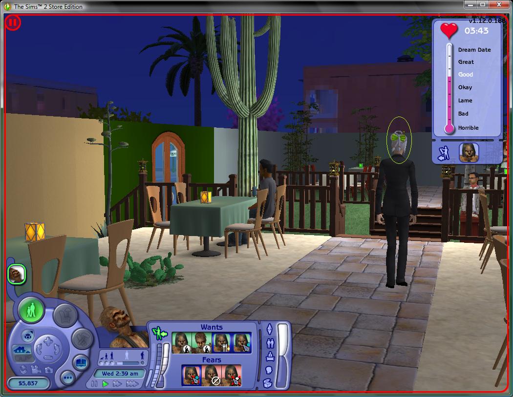 Sims 2 Graphics Glitch Windows 7