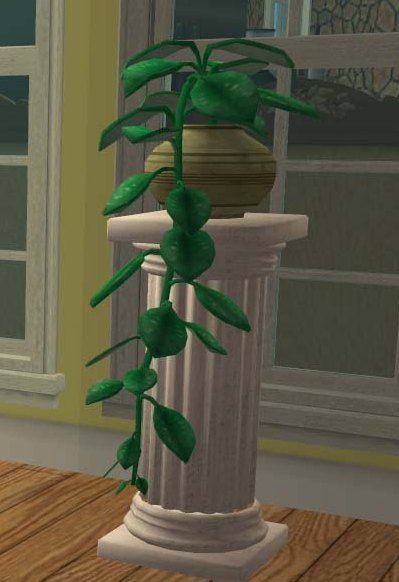 http://thumbs2.modthesims2.com/img/4/2/4/0/6/MTS2_KevinsHope_805328_Plant2.jpg