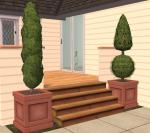 Decorative Topiaries