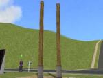 Timber Column