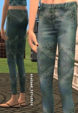 http://thumbs2.modthesims2.com/img/4/5/2/6/0/9/MTS2_szielins_387970_stained_5f7cf824.jpg