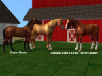 http://thumbs2.modthesims2.com/img/5/8/3/2/3/MTS2_thumb_WitchyWoman_808674_Suffolk_Mare.PNG