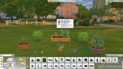 Mod The Sims - Buyable Functional Maxis Herbs & Flowers (7 ...
