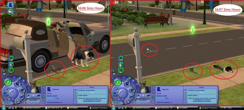 sims 2 control pets