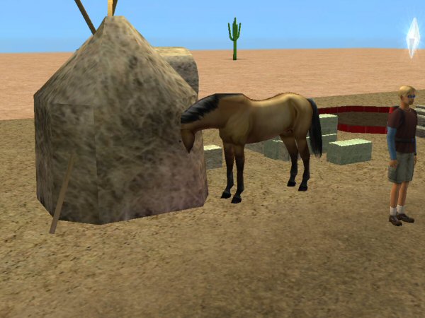 http://thumbs2.modthesims2.com/img/8/2/9/0/1/2/MTS2_rebecah_688679_HorseEatRomainianHay.jpg