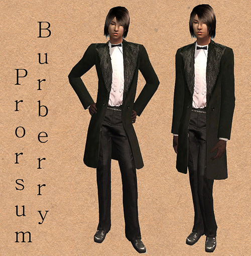 http://thumbs2.modthesims2.com/img/8/7/2/8/6/MTS2_tomang_431373_pribon.jpg