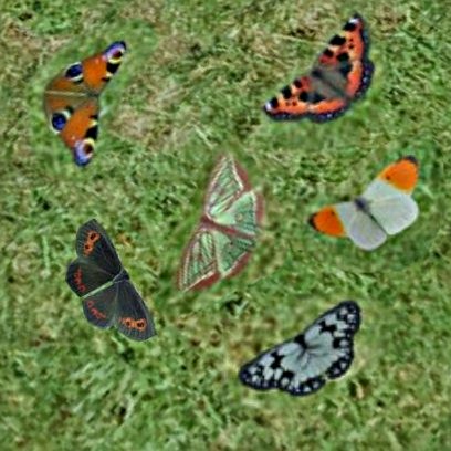 http://thumbs2.modthesims2.com/img/8/8/3/5/7/4/MTS2_ganguro_749915_butterfly_header1.jpg