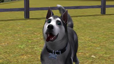 the sims 3 kinky world mod wiki the sims 3 kinky world mod wiki