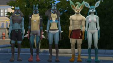 Lucario Yiffy