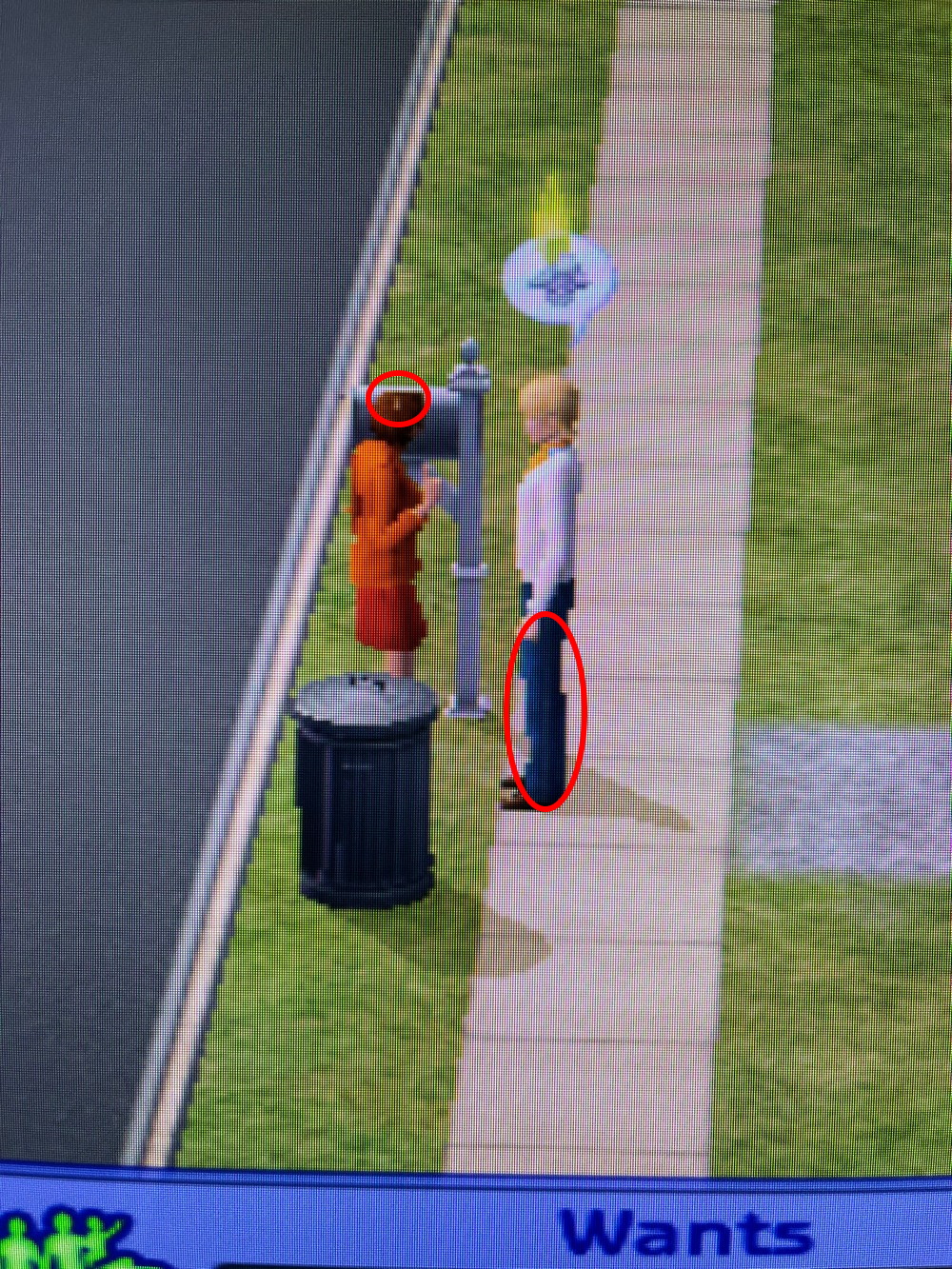 Mod the sims some cc look weird when zooming out