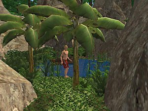 sims 2 castaway hieroglyphics