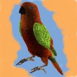 http://thumbs2.modthesims2.com/img/1/4/4/9/1/MTS2_thumb_callum91_398350_callum91OrangeGreenParrot.jpg