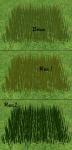 http://thumbs2.modthesims2.com/img/1/4/6/4/3/4/2/MTS2_thumb_mahfood1990_838155_Realistic_Grass_Low_Poly_Version_7.jpg