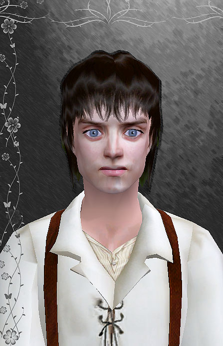 http://thumbs2.modthesims2.com/img/1/6/8/3/7/1/MTS2_natef005_847540_Frodo16.jpg