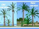 http://thumbs2.modthesims2.com/img/1/9/1/0/1/3/MTS2_thumb_alex_stanton1983_805643_palm.jpg