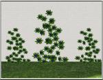 http://thumbs2.modthesims2.com/img/1/9/8/7/4/4/MTS2_thumb_petschauerg_859930_Clematis-blue.jpg