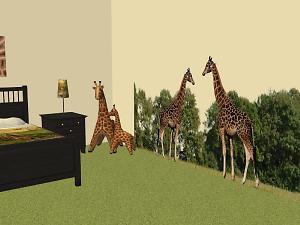 http://thumbs2.modthesims2.com/img/2/6/6/8/0/1/5/1423776.largethumb.jpg