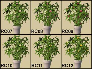 Mod The Sims Buyable Hydroponic Plant And Pot Recolours