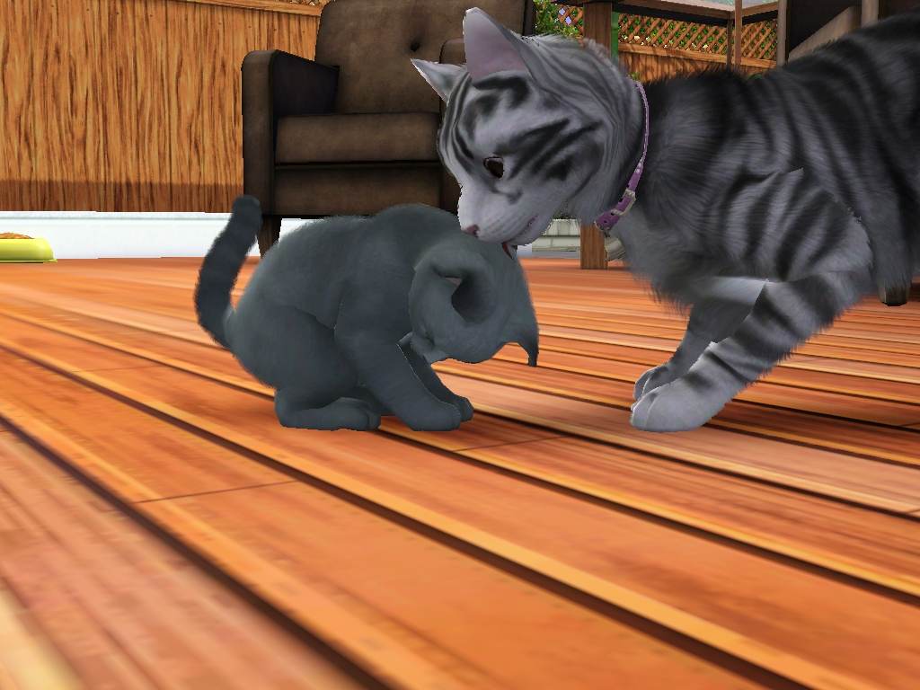 Mod The Sims - Sims 3 Pets Pictures