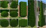 http://thumbs2.modthesims2.com/img/2/9/5/4/1/7/MTS2_thumb_phoenix_phaerie_817912_mts2_preview-topiaries.jpg