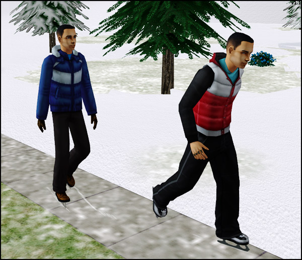 http://thumbs2.modthesims2.com/img/2/9/7/8/6/6/MTS2_treeag_815235_iceskate.jpg