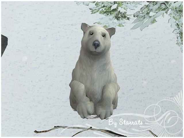 http://thumbs2.modthesims2.com/img/3/5/3/7/8/MTS2_Starrats._731935_polarbear.jpg