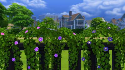 Mod The Sims - Vines for Fences-Morning Glory and Seasons of Ivy