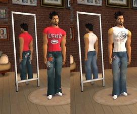 http://thumbs2.modthesims2.com/img/7/5/9/1/8/142263.largethumb.jpg