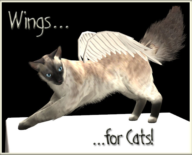 http://thumbs2.modthesims2.com/img/8/0/9/8/0/5/MTS2_Klinny_591175_kittytitle.jpg