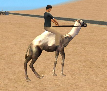 http://thumbs2.modthesims2.com/img/8/2/9/0/1/2/MTS2_rebecah_679508_Camel.jpg