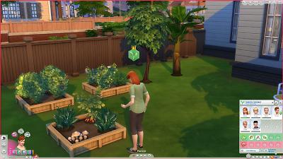 Mod The Sims - No Gardening Club Harvesting